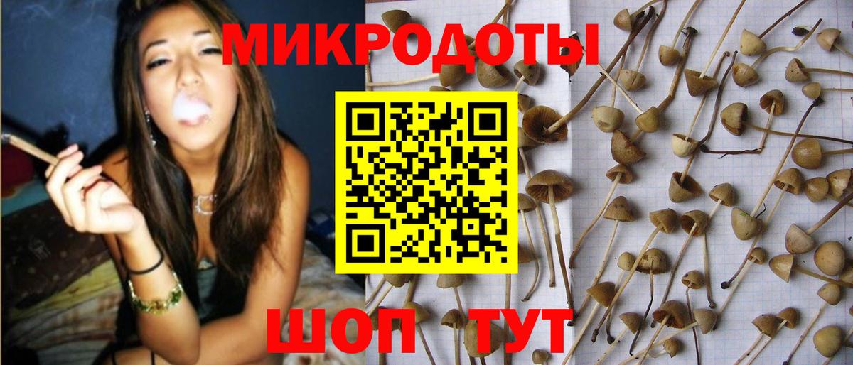 Псилоцибиновые грибы MAGIC MUSHROOMS Сланцы